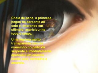 Quando chegou ao palácio desabitado, já os três dias tinham passado há muito tempo. A princesa entrou no palácio e procurou a serpente por todo o lado. Ao fim de muito procurar, encontrou-a no jardim, no meio das rosas, quase morta e num sofrimento muito grande. Cheia de pena, a princesa pegou na serpente ao colo e, chorando em silêncio, acariciou-lhe todo o corpo. Uma lágrima muito transparente caiu de mansinho no peito da serpente e imediatamente apareceu um enorme clarão azul, vermelho e amarelo. 
