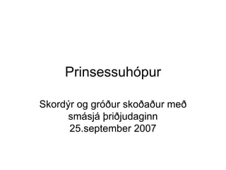 Prinsessuhópur Skordýr og gróður skoðaður með smásjá þriðjudaginn 25.september 2007 
