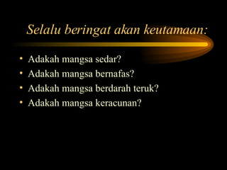 Selalu beringat akan keutamaan: Adakah mangsa sedar? Adakah mangsa bernafas? Adakah mangsa berdarah teruk? Adakah mangsa keracunan? 