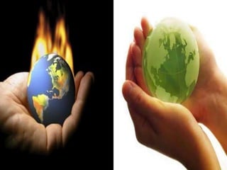 Prinsip Etika Lingkungan