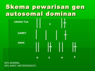 Skema pewarisan genSkema pewarisan gen
autosomal dominanautosomal dominan
ORANG TUA
GAMET
ANAK
X
N NS S
50% NORMAL
50% SAKIT (HETEROZIGOT)
 