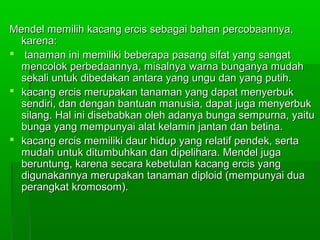Mendel memilih kacang ercis sebagai bahan percobaannya,Mendel memilih kacang ercis sebagai bahan percobaannya,
karena:karena:
 tanaman ini memiliki beberapa pasang sifat yang sangattanaman ini memiliki beberapa pasang sifat yang sangat
mencolok perbedaannya, misalnya warna bunganya mudahmencolok perbedaannya, misalnya warna bunganya mudah
sekali untuk dibedakan antara yang ungu dan yang putih.sekali untuk dibedakan antara yang ungu dan yang putih.
 kacang ercis merupakan tanaman yang dapat menyerbukkacang ercis merupakan tanaman yang dapat menyerbuk
sendiri, dan dengan bantuan manusia, dapat juga menyerbuksendiri, dan dengan bantuan manusia, dapat juga menyerbuk
silang. Hal ini disebabkan oleh adanya bunga sempurna, yaitusilang. Hal ini disebabkan oleh adanya bunga sempurna, yaitu
bunga yang mempunyai alat kelamin jantan dan betina.bunga yang mempunyai alat kelamin jantan dan betina.
 kacang ercis memiliki daur hidup yang relatif pendek, sertakacang ercis memiliki daur hidup yang relatif pendek, serta
mudah untuk ditumbuhkan dan dipelihara. Mendel jugamudah untuk ditumbuhkan dan dipelihara. Mendel juga
beruntung, karena secara kebetulan kacang ercis yangberuntung, karena secara kebetulan kacang ercis yang
digunakannya merupakan tanaman diploid (mempunyai duadigunakannya merupakan tanaman diploid (mempunyai dua
perangkat kromosom).perangkat kromosom).
 