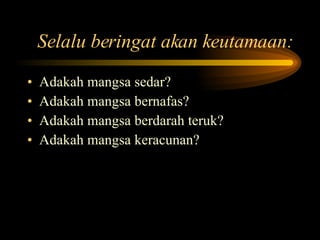 Selalu beringat akan keutamaan: Adakah mangsa sedar? Adakah mangsa bernafas? Adakah mangsa berdarah teruk? Adakah mangsa keracunan? 