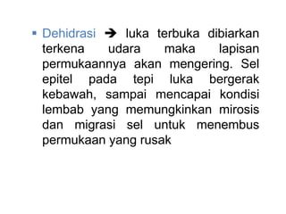  Dehidrasi  luka terbuka dibiarkan
terkena udara maka lapisan
permukaannya akan mengering. Sel
epitel pada tepi luka bergerak
kebawah, sampai mencapai kondisi
lembab yang memungkinkan mirosis
dan migrasi sel untuk menembus
permukaan yang rusak
 