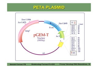 PETA PLASMID




Sekolah Farmasi ITB   Bioteknologi Farmasi-FA 4202   Prinsip Teknologi DNA Rekombinan 16
 