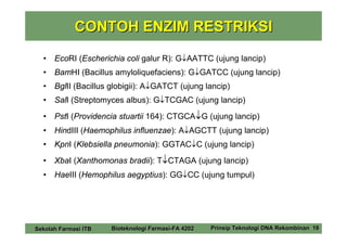 CONTOH ENZIM RESTRIKSI

  •   EcoRI (Escherichia coli galur R): G↓AATTC (ujung lancip)
  •   BamHI (Bacillus amyloliquefaciens): G↓GATCC (ujung lancip)
  •   BglII (Bacillus globigii): A↓GATCT (ujung lancip)
  •   SalI (Streptomyces albus): G↓TCGAC (ujung lancip)
  •   PstI (Providencia stuartii 164): CTGCA↓G (ujung lancip)
  •   HindIII (Haemophilus influenzae): A↓AGCTT (ujung lancip)
  •   KpnI (Klebsiella pneumonia): GGTAC↓C (ujung lancip)
  •   XbaI (Xanthomonas bradii): T↓CTAGA (ujung lancip)
  •   HaeIII (Hemophilus aegyptius): GG↓CC (ujung tumpul)




Sekolah Farmasi ITB   Bioteknologi Farmasi-FA 4202   Prinsip Teknologi DNA Rekombinan 19
 