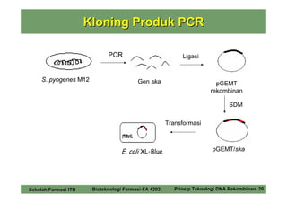 Kloning Produk PCR

                             PCR                            Ligasi


     S. pyogenes M12                     Gen ska                         pGEMT
                                                                       rekombinan

                                                                              SDM

                                                      Transformasi



                                  E. coli XL-Blue                      pGEMT/ska




Sekolah Farmasi ITB    Bioteknologi Farmasi-FA 4202      Prinsip Teknologi DNA Rekombinan 20
 