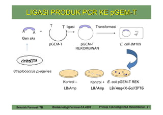 LIGASI PRODUK PCR KE pGEM-T
                                   ligasi               Transformasi
     A      A    +

     Gen ska
                       pGEM-T                 pGEM-T                   E. coli JM109
                                            REKOMBINAN




Streptococcus pyogenes


                                Kontrol –           Kontrol + E. coli pGEM-T REK
                                 LB/Amp             LB/Amp      LB/Amp/X-Gal/IPTG




 Sekolah Farmasi ITB     Bioteknologi Farmasi-FA 4202    Prinsip Teknologi DNA Rekombinan 21
 