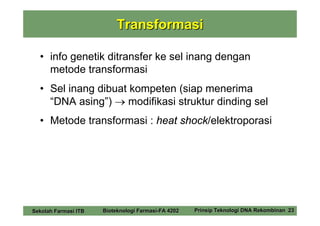 Transformasi

  • info genetik ditransfer ke sel inang dengan
    metode transformasi
  • Sel inang dibuat kompeten (siap menerima
    “DNA asing”) → modifikasi struktur dinding sel
  • Metode transformasi : heat shock/elektroporasi




Sekolah Farmasi ITB   Bioteknologi Farmasi-FA 4202   Prinsip Teknologi DNA Rekombinan 23
 