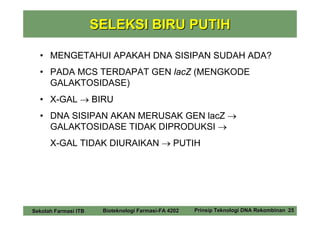 SELEKSI BIRU PUTIH

  • MENGETAHUI APAKAH DNA SISIPAN SUDAH ADA?
  • PADA MCS TERDAPAT GEN lacZ (MENGKODE
    GALAKTOSIDASE)
  • X-GAL → BIRU
  • DNA SISIPAN AKAN MERUSAK GEN lacZ →
    GALAKTOSIDASE TIDAK DIPRODUKSI →
      X-GAL TIDAK DIURAIKAN → PUTIH




Sekolah Farmasi ITB    Bioteknologi Farmasi-FA 4202   Prinsip Teknologi DNA Rekombinan 25
 