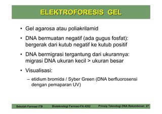 ELEKTROFORESIS GEL

  • Gel agarosa atau poliakrilamid
  • DNA bermuatan negatif (ada gugus fosfat):
    bergerak dari kutub negatif ke kutub positif
  • DNA bermigrasi tergantung dari ukurannya:
    migrasi DNA ukuran kecil > ukuran besar
  • Visualisasi:
       – etidium bromida / Syber Green (DNA berfluorosensi
         dengan pemaparan UV)



Sekolah Farmasi ITB   Bioteknologi Farmasi-FA 4202   Prinsip Teknologi DNA Rekombinan 27
 