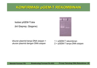 KONFIRMASI pGEM-T REKOMBINAN


                                                            1     2
     Isolasi pGEM-T/ska
     (kit Qiaprep, Qiagene)




  Ukuran plasmid tanpa DNA sisipan <                 1 = pGEM-T rekombinan
  ukuran plasmid dengan DNA sisipan                  2 = pGEM-T tanpa DNA sisipan




Sekolah Farmasi ITB   Bioteknologi Farmasi-FA 4202       Prinsip Teknologi DNA Rekombinan 29
 