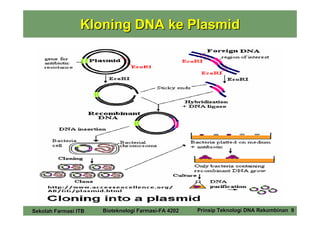 Kloning DNA ke Plasmid




Sekolah Farmasi ITB   Bioteknologi Farmasi-FA 4202   Prinsip Teknologi DNA Rekombinan 9
 