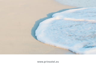 www.prinsotel.es
 