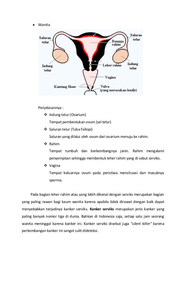 Ebook Kanker Serviks