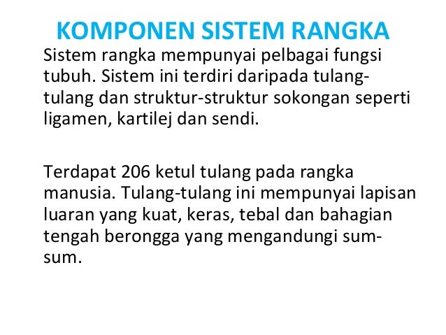 Sistem Rangka Manusia
