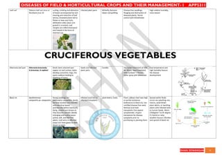 QUICK BOOK ON DISEASES OF FIELD AND HORTICULTURAL CROPS AND THEIR ...