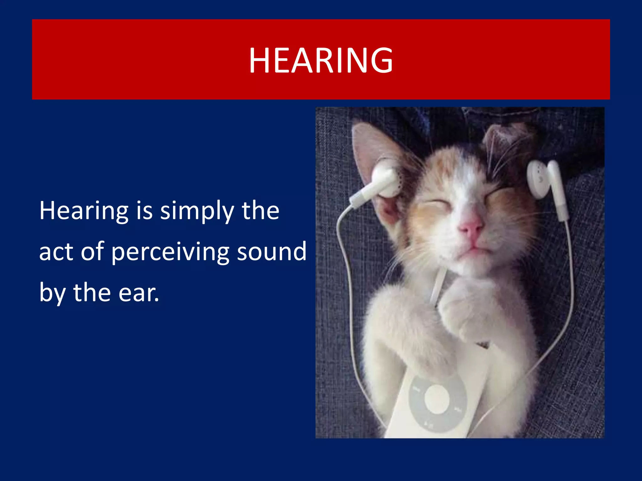 HEARING
Hearing is simply the
act of perceiving sound
by the ear.
 