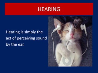 HEARING
Hearing is simply the
act of perceiving sound
by the ear.
 