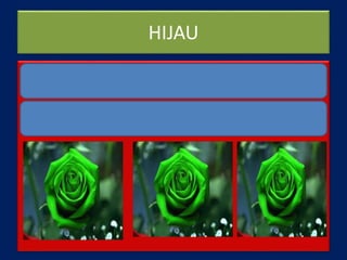 HIJAU
 