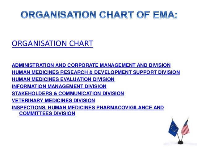 Ema Organisational Chart