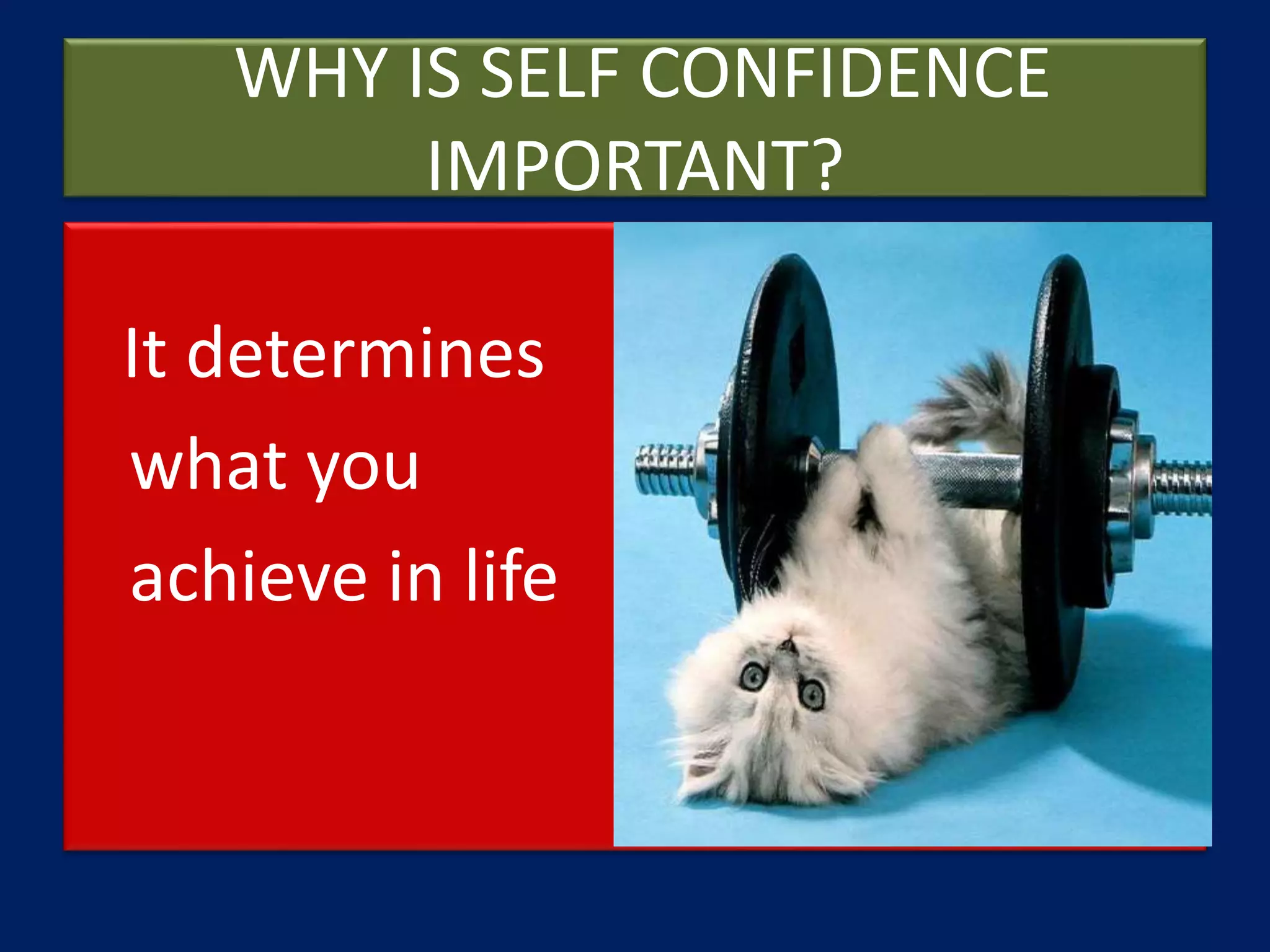 Success Through Self Confidence PPT