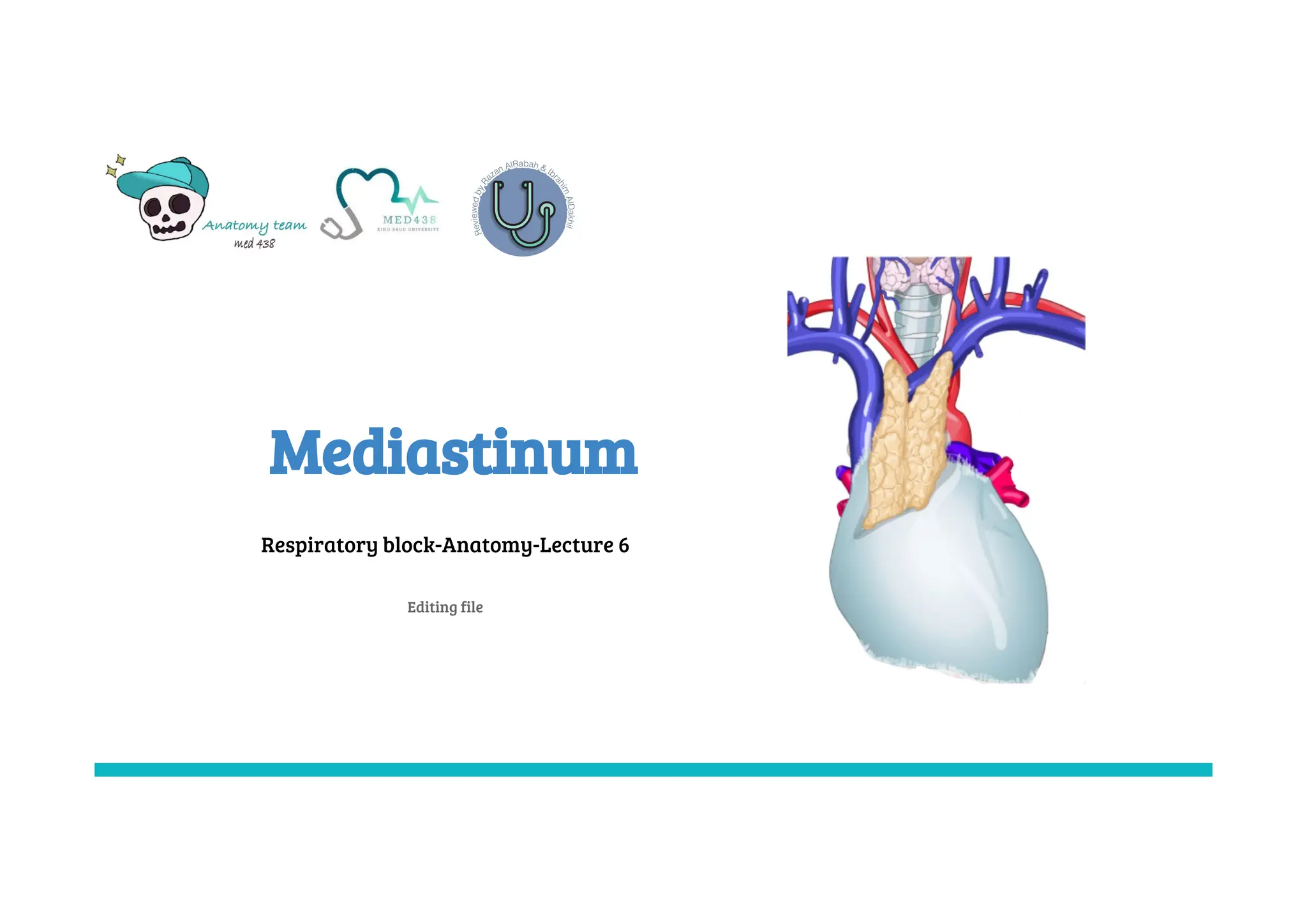 Mediastinum anatomy and its clinical implications | PDF