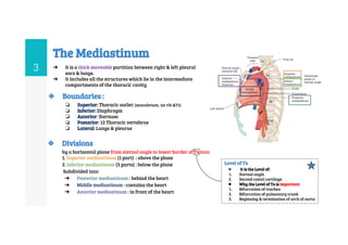 Mediastinum anatomy and its clinical implications | PDF