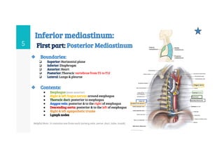 Mediastinum anatomy and its clinical implications | PDF