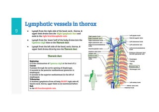 Mediastinum anatomy and its clinical implications | PDF