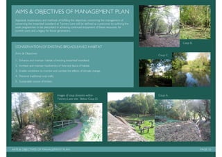 Management plan: Tanyard Basin, Shalford.