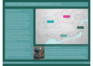Management plan: Tanyard Basin, Shalford.
