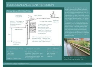 Management plan: Tanyard Basin, Shalford.