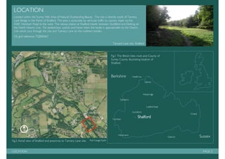 Management plan: Tanyard Basin, Shalford.