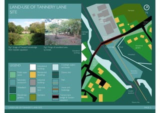 Management plan: Tanyard Basin, Shalford.