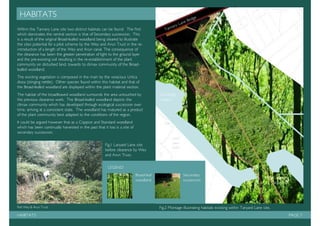 Management plan: Tanyard Basin, Shalford.