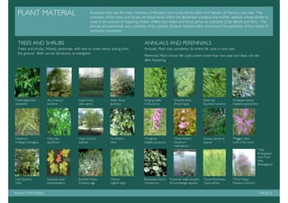 Management plan: Tanyard Basin, Shalford.