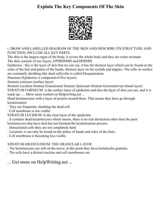 Printable Black Ant Writing Paper Writing Paper, Writi | PDF