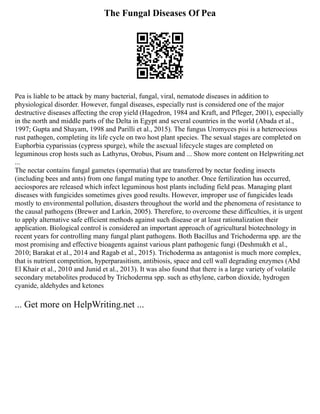 The Fungal Diseases Of Pea
Pea is liable to be attack by many bacterial, fungal, viral, nematode diseases in addition to
physiological disorder. However, fungal diseases, especially rust is considered one of the major
destructive diseases affecting the crop yield (Hagedron, 1984 and Kraft, and Pfleger, 2001), especially
in the north and middle parts of the Delta in Egypt and several countries in the world (Abada et al.,
1997; Gupta and Shayam, 1998 and Parilli et al., 2015). The fungus Uromyces pisi is a heteroecious
rust pathogen, completing its life cycle on two host plant species. The sexual stages are completed on
Euphorbia cyparissias (cypress spurge), while the asexual lifecycle stages are completed on
leguminous crop hosts such as Lathyrus, Orobus, Pisum and ... Show more content on Helpwriting.net
...
The nectar contains fungal gametes (spermatia) that are transferred by nectar feeding insects
(including bees and ants) from one fungal mating type to another. Once fertilization has occurred,
aeciospores are released which infect leguminous host plants including field peas. Managing plant
diseases with fungicides sometimes gives good results. However, improper use of fungicides leads
mostly to environmental pollution, disasters throughout the world and the phenomena of resistance to
the causal pathogens (Brewer and Larkin, 2005). Therefore, to overcome these difficulties, it is urgent
to apply alternative safe efficient methods against such disease or at least rationalization their
application. Biological control is considered an important approach of agricultural biotechnology in
recent years for controlling many fungal plant pathogens. Both Bacillus and Trichoderma spp. are the
most promising and effective bioagents against various plant pathogenic fungi (Deshmukh et al.,
2010; Barakat et al., 2014 and Ragab et al., 2015). Trichoderma as antagonist is much more complex,
that is nutrient competition, hyperparasitism, antibiosis, space and cell wall degrading enzymes (Abd
El Khair et al., 2010 and Junid et al., 2013). It was also found that there is a large variety of volatile
secondary metabolites produced by Trichoderma spp. such as ethylene, carbon dioxide, hydrogen
cyanide, aldehydes and ketones
... Get more on HelpWriting.net ...
 