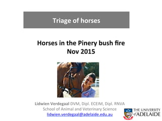 Horses	
  in	
  the	
  Pinery	
  bush	
  ﬁre	
  
Nov	
  2015	
  
	
  
	
  
Lidwien	
  Verdegaal	
  DVM,	
  Dipl.	
  ECEIM,	
  Dipl.	
  RNVA	
  
School	
  of	
  Animal	
  and	
  Veterinary	
  Science	
  	
  
lidwien.verdegaal@adelaide.edu.au	
  	
  
	
  
Triage	
  of	
  horses	
  
 