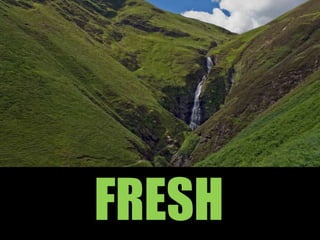 FRESH
 