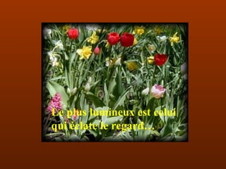 Le plus lumineux est celui  qui éclate le regard… 