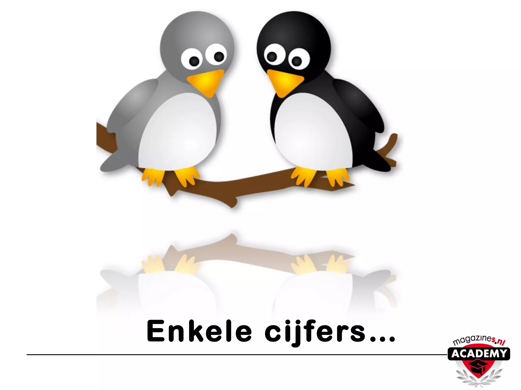 Enkele cijfers…
 