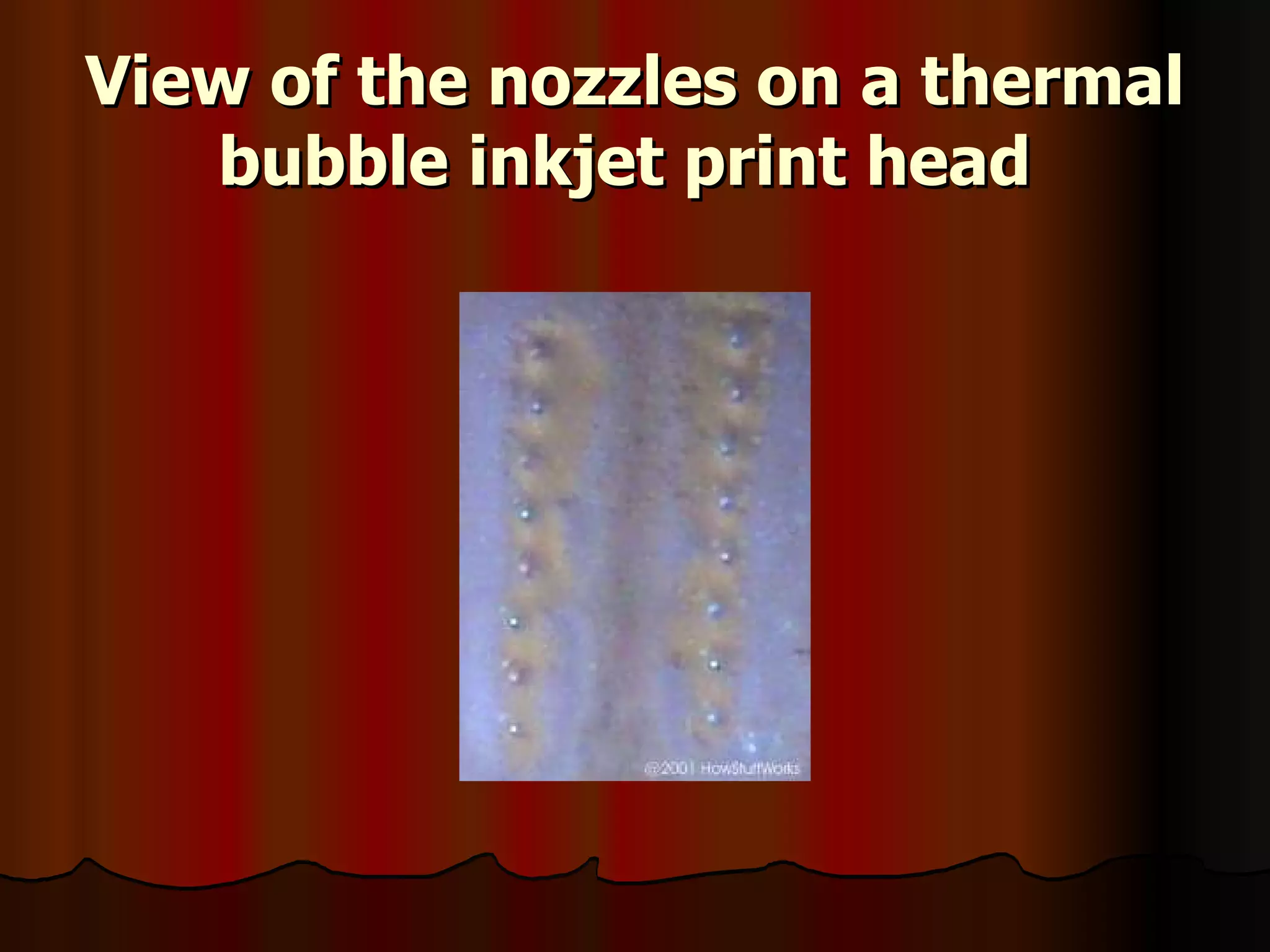 View of the nozzles on a thermal bubble inkjet print head   