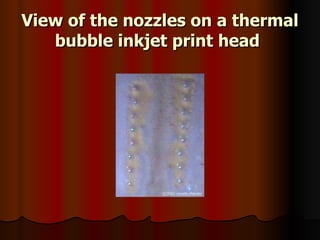 View of the nozzles on a thermal bubble inkjet print head   