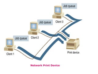 Network Print Device 