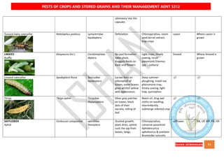 QUICK BOOK ON PESTS OF CROPS AND STORED GRAIN AND THEIR MANAGEMENT AENT5312 NOTES