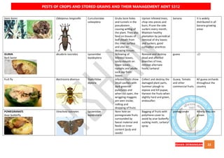 QUICK BOOK ON PESTS OF CROPS AND STORED GRAIN AND THEIR MANAGEMENT AENT5312 NOTES