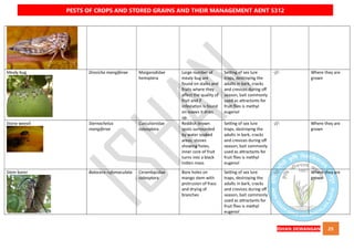 QUICK BOOK ON PESTS OF CROPS AND STORED GRAIN AND THEIR MANAGEMENT AENT5312 NOTES