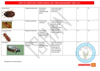 QUICK BOOK ON PESTS OF CROPS AND STORED GRAIN AND THEIR MANAGEMENT AENT5312 NOTES